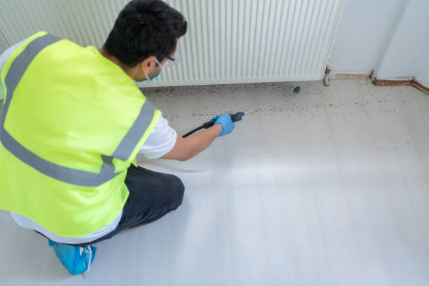 Best Fumigation Services  in Lyons, IL